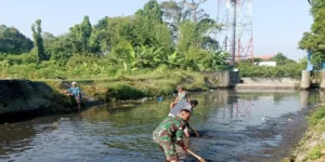 Meningkatkan Ketersediaan Air untuk Pertanian, Babinsa Karangsari Bersama Poktan Margomulyo Bersihkan Saluran Irigasi
