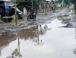 Dinas PUPR Tulungagung Percepat Perbaikan Empat Ruas Jalan Rusak, Salah Satunya Dikenal Lewat Aksi Tanam Pohon Pisang