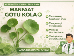 Tren Minuman Herbal Agar Stabil dari Ketegangan
