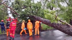 Hujan Deras dan Angin Puting Beliung Rusak Rumah dan Tanaman Warga di Desa Jabalsari, Kec. Sumbergempol
