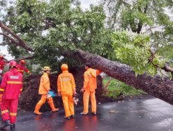 Hujan Deras dan Angin Puting Beliung Rusak Rumah dan Tanaman Warga di Desa Jabalsari, Kec. Sumbergempol