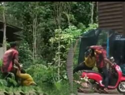 Video Viral 44 Detik Dugaan KDRT di Trenggalek, Perempuan 33 Tahun Meninggal Dunia Diduga